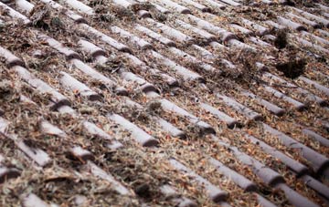 Abbas Combe roof cleaning companies